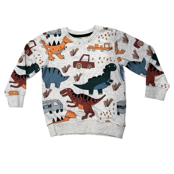 Toddler Boys Long Sleeve Dino & Animal Sweatshirt Bundle 5T - Picture 2 of 11